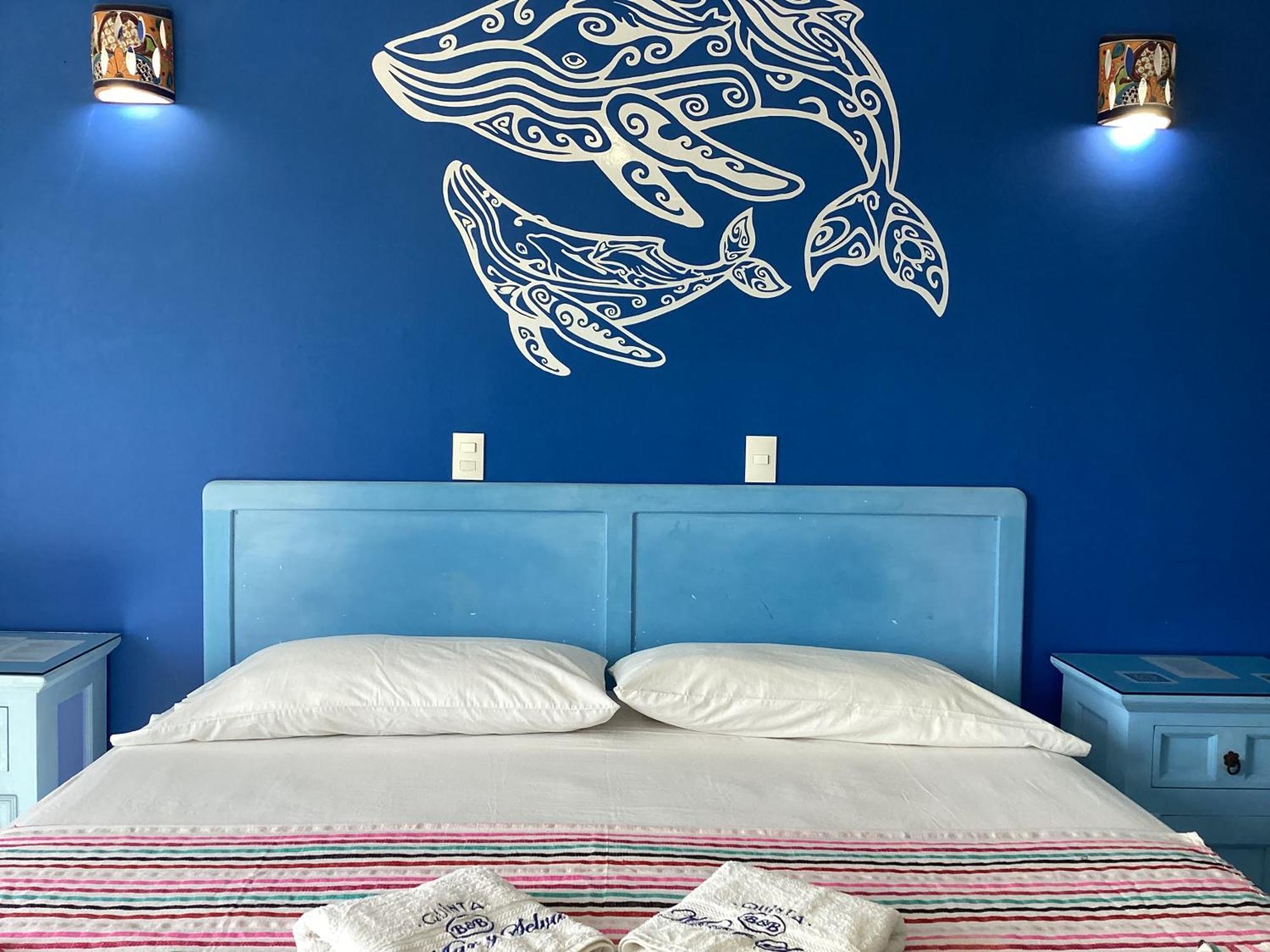 Hotel Quinta Mar Y Selva Чакала Экстерьер фото