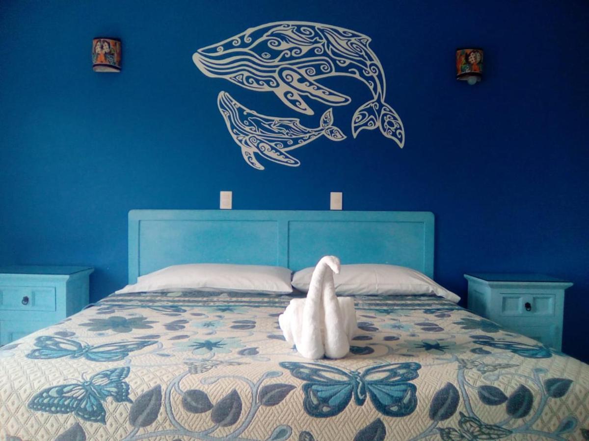 Hotel Quinta Mar Y Selva Чакала Экстерьер фото